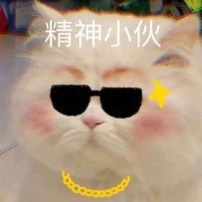 搞笑猫咪图片