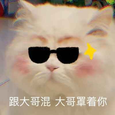 猫咪表情包带字图片