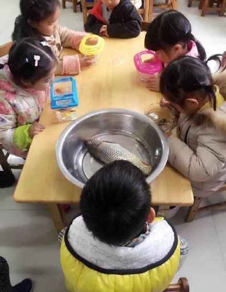 育儿热搜:“领跑”幼儿园?这些孩子不得了