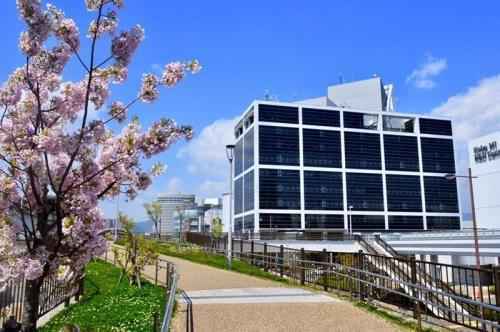 上美集团韩束打造科技力护肤品牌,54奇肌精华如何做到一瓶双效? 上美集团韩束打造科技力护肤品牌,54奇肌精华如何做到一瓶双效?