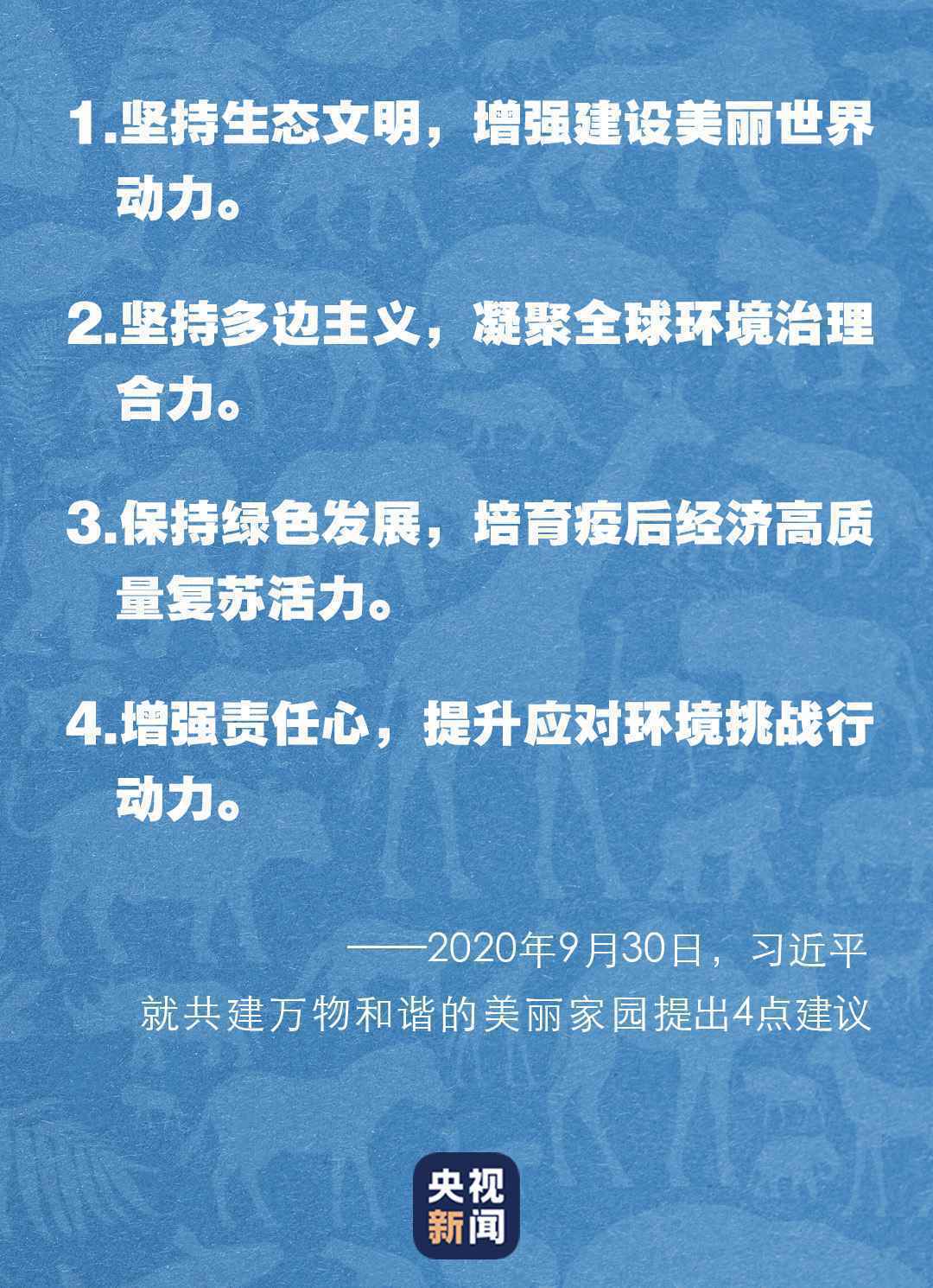 “共建万物和谐的美丽家园”,习近平首次提出这一重大倡议