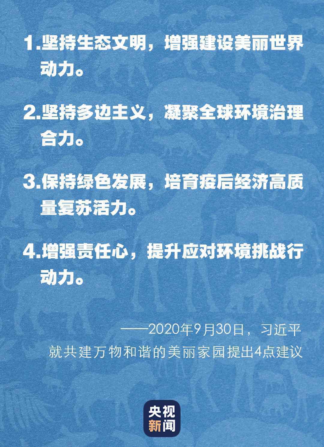 “共建万物和谐的美丽家园”，习近平首次提出这一重大倡议