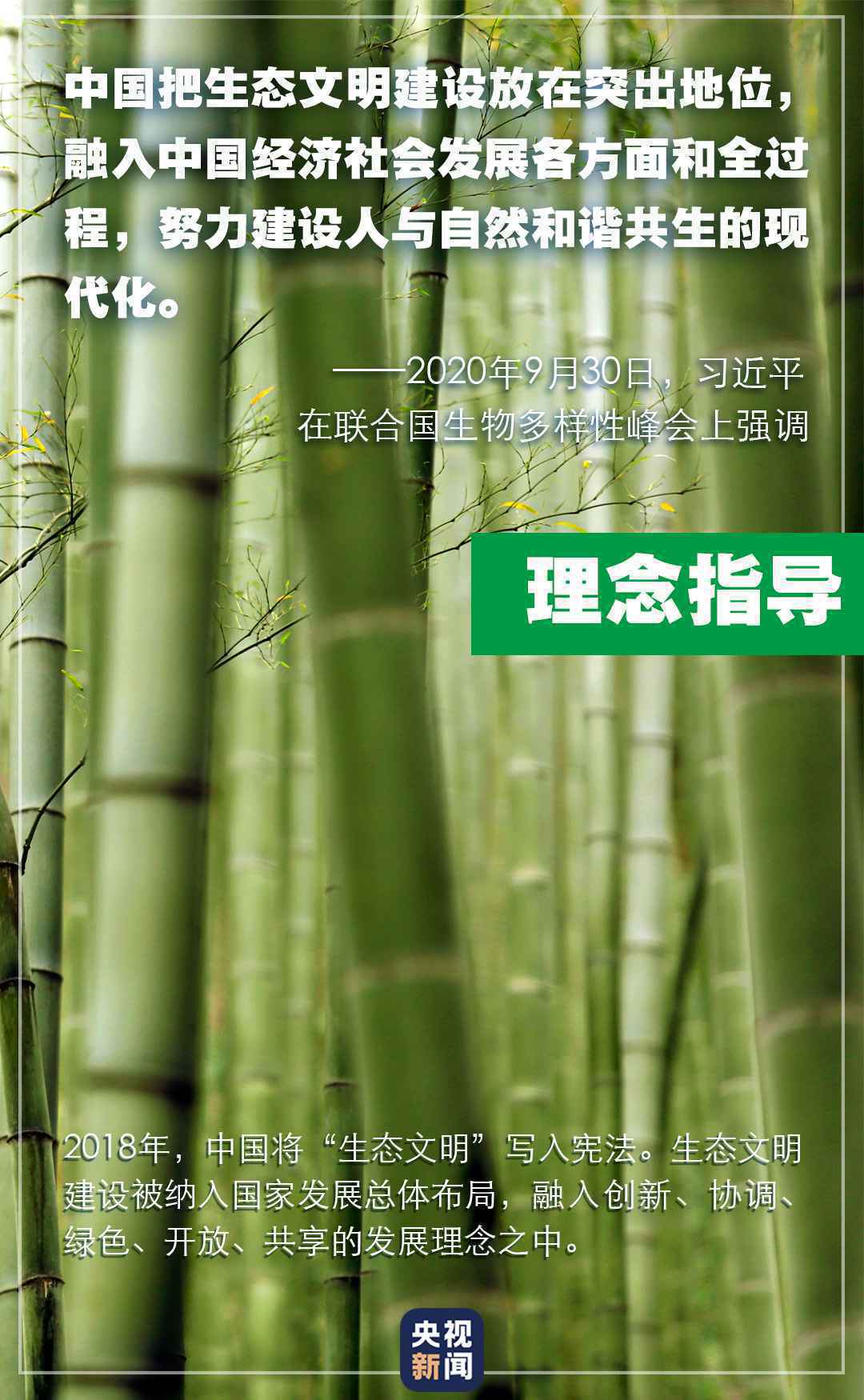 “共建万物和谐的美丽家园”,习近平首次提出这一重大倡议