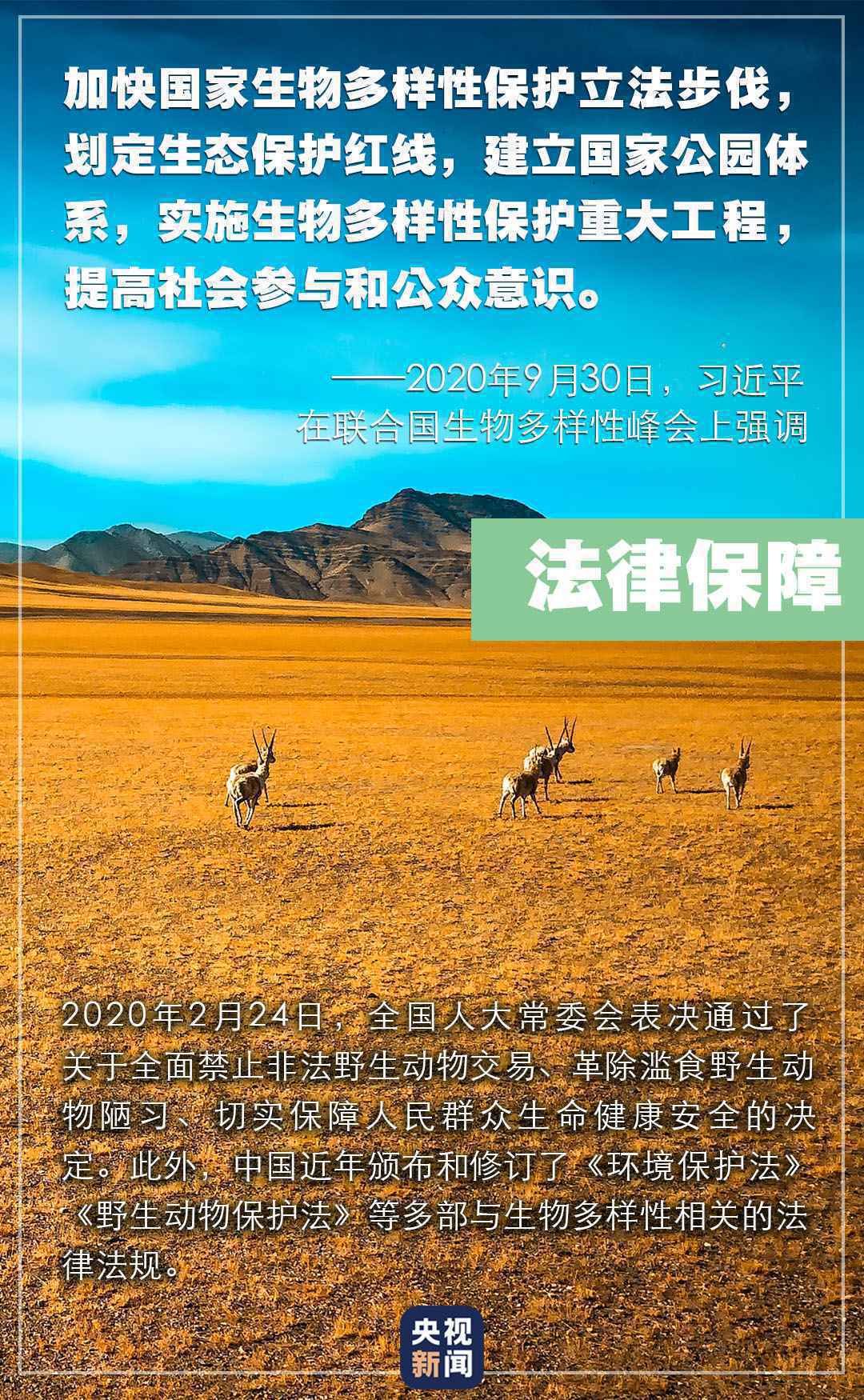 “共建万物和谐的美丽家园”,习近平首次提出这一重大倡议