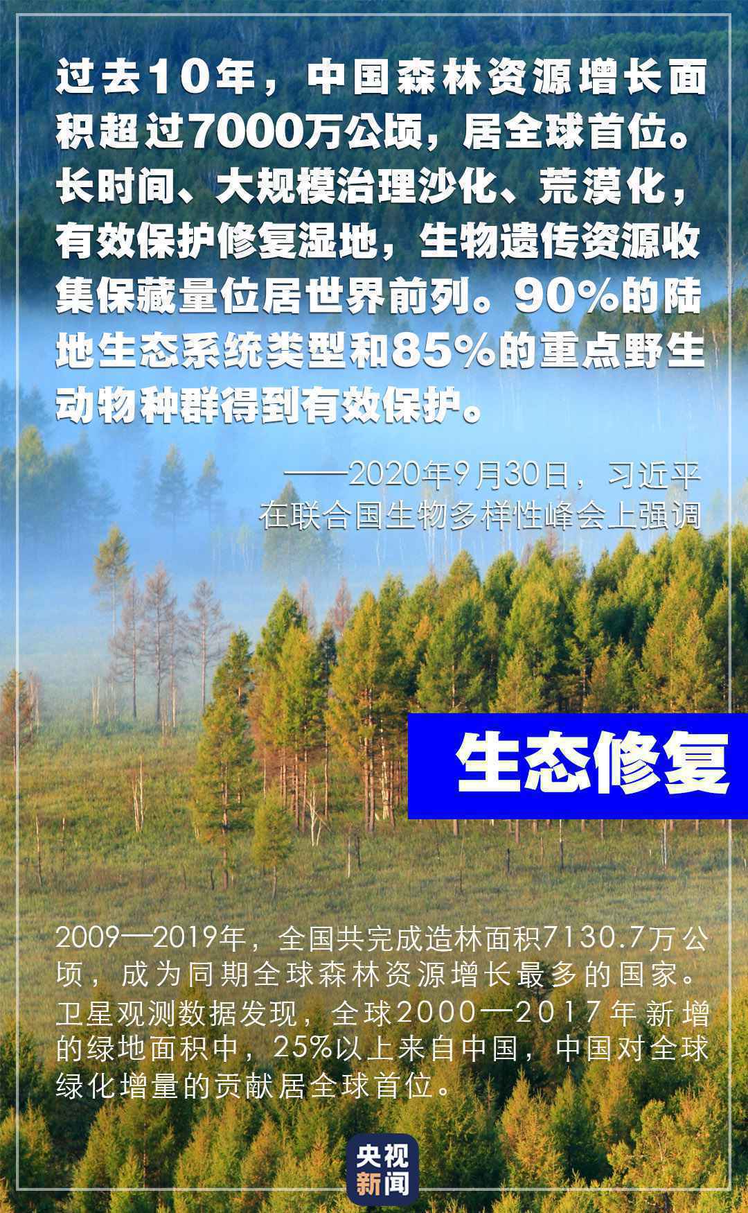 “共建万物和谐的美丽家园”,习近平首次提出这一重大倡议