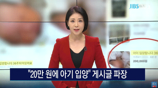 韩媒报道截图（JIBS电视台）
