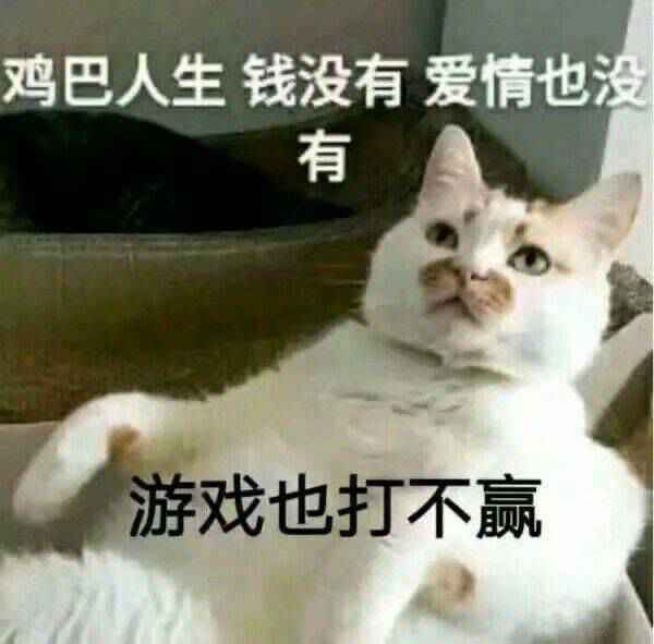 搞笑鸡巴人生，钱没有爱情也没有游戏也打不赢