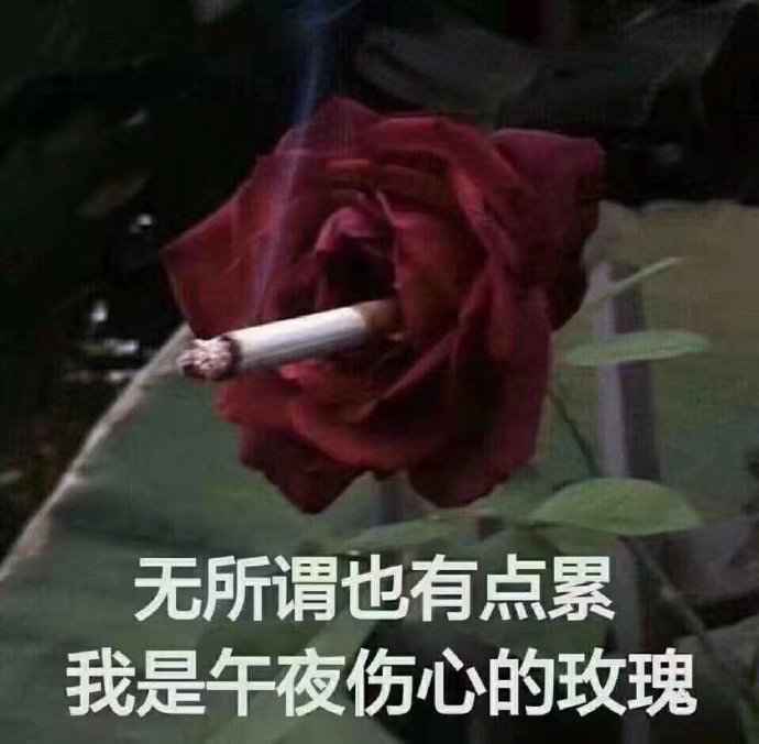 搞笑无所谓也有点累 我是午夜伤心的玫瑰