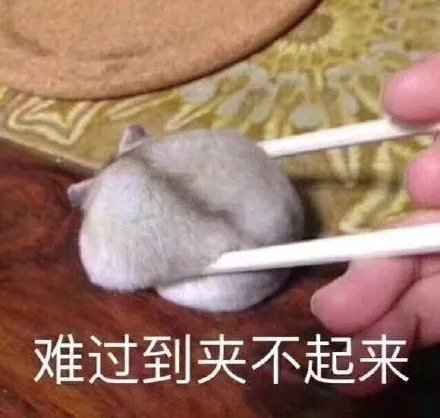 搞笑难过到夹不起来