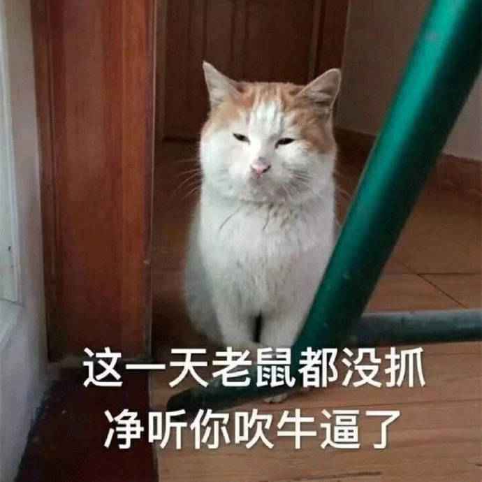 搞笑这一天老鼠也不捉了，就听你吹牛逼