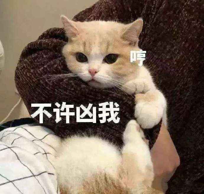 搞笑不许凶我