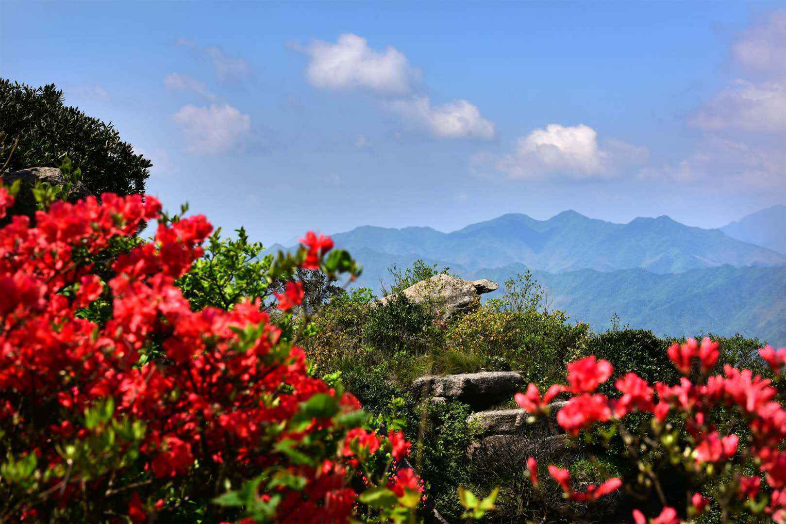 浙西新明珠龙游，绿水青山成村民致富靠山