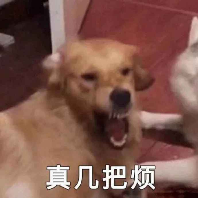 搞笑真几把烦~