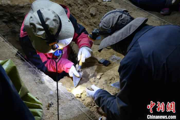 最新古DNA研究：丹尼索瓦人晚更新世长期生活在青藏高原
