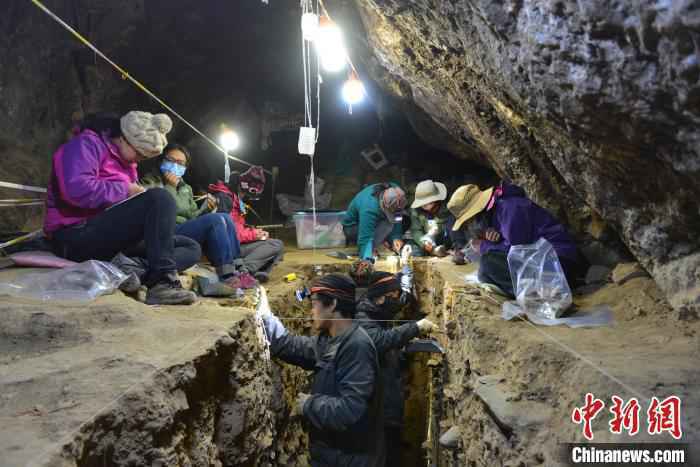 最新古DNA研究：丹尼索瓦人晚更新世长期生活在青藏高原