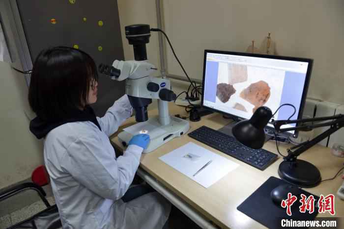 最新古DNA研究:丹尼索瓦人晚更新世长期生活在青藏高原