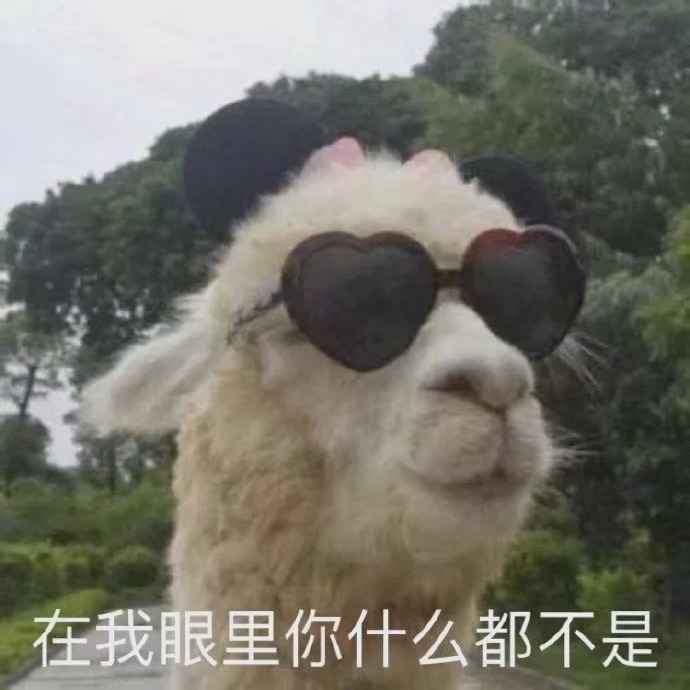 搞笑在我眼里你什么都不是