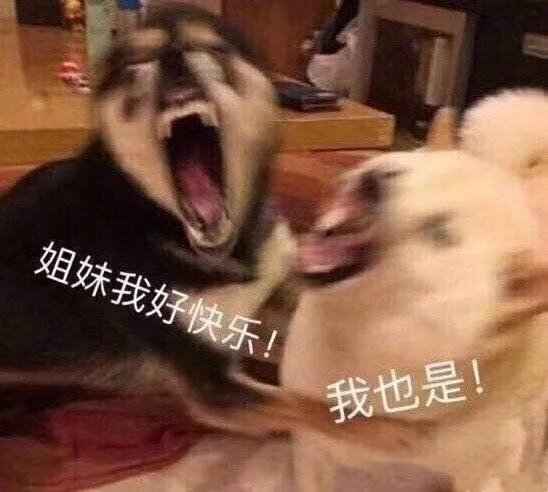 搞笑姐妹我好快乐，
