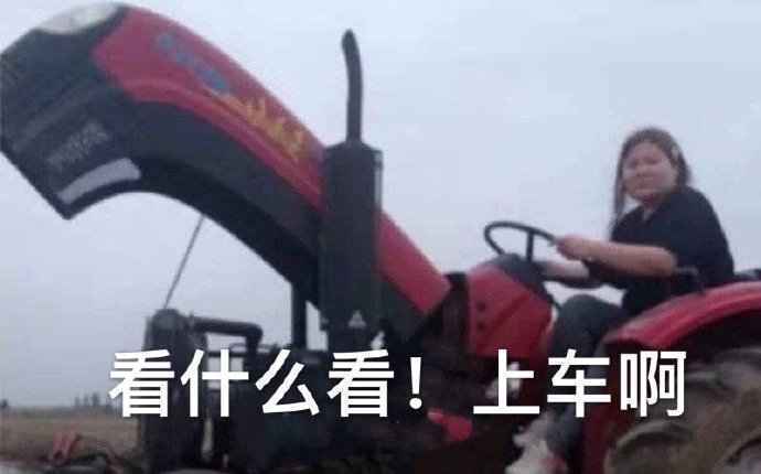 搞笑看什么看，赶紧上车