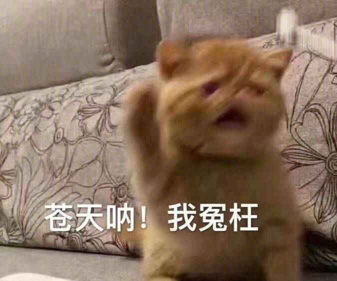 搞笑苍天啊，我冤枉
