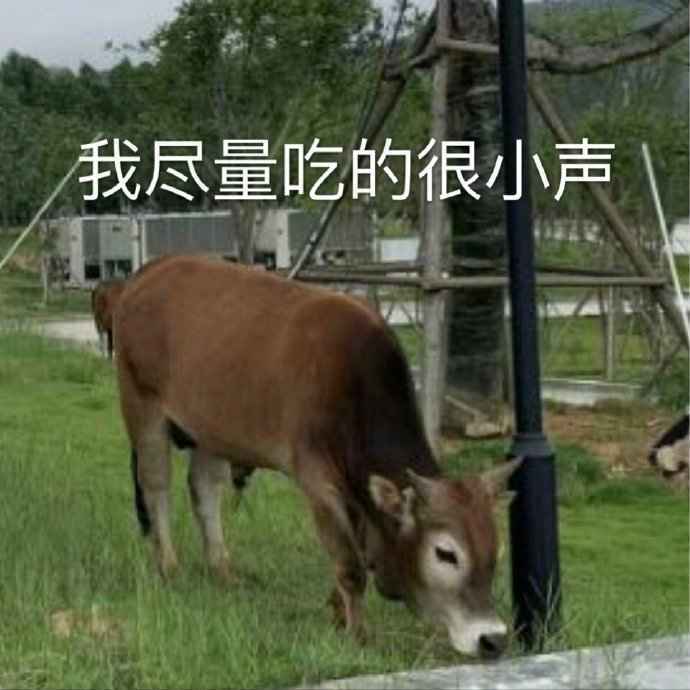 搞笑我尽量吃的很小声