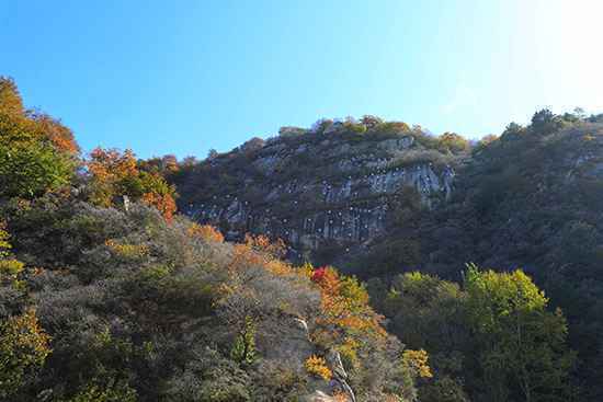 北京密云区:“甜蜜事业”让绿水青山变金山银山
