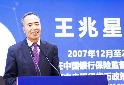 王兆星:打通普惠金融“最后一公里”更好服务经济社会发展