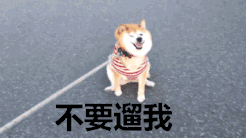 可爱