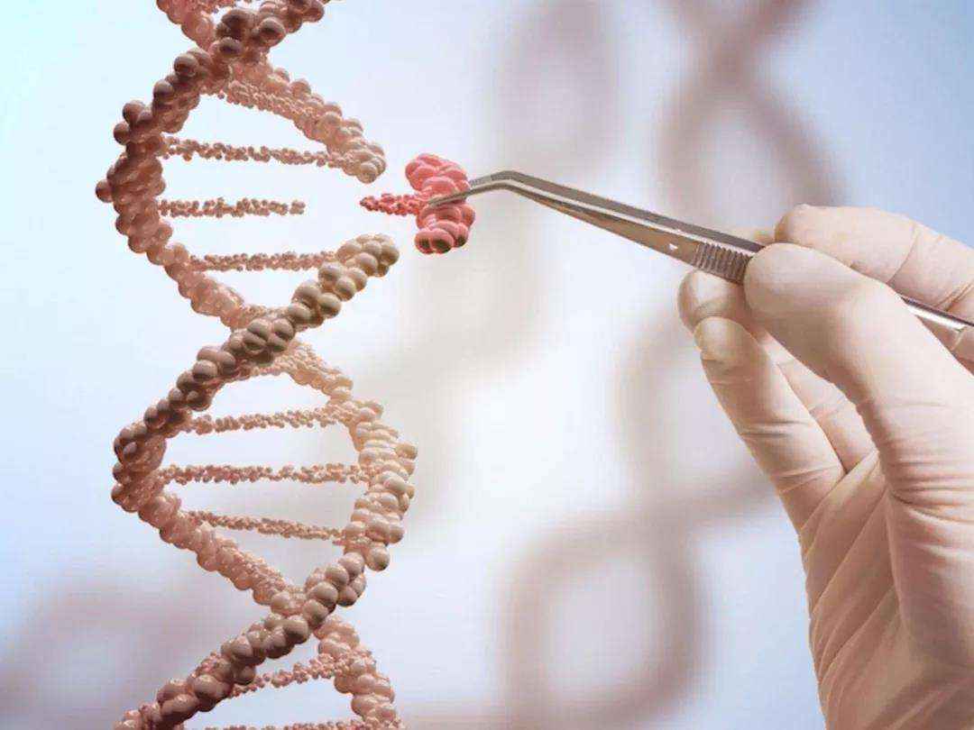 基因编辑疗法或使癌细胞永久失活