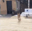 有趣