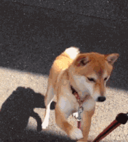 搞笑