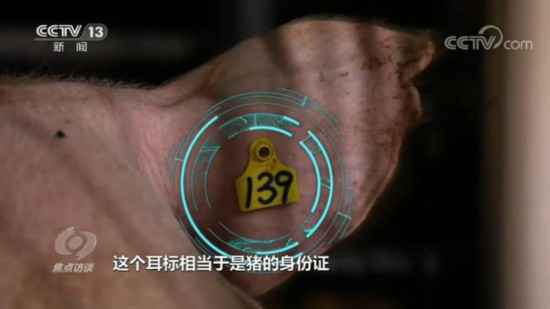 看病、跳广场舞、养猪……都用上了数字技术“智慧未来”还远吗?