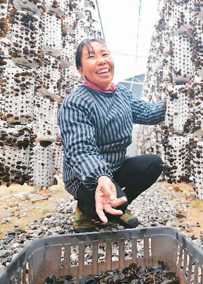 暖暖的!新增就业目标提前实现(2020,稳步走向高质量发展②)