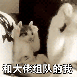 可爱GIF