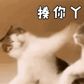 有趣GIF