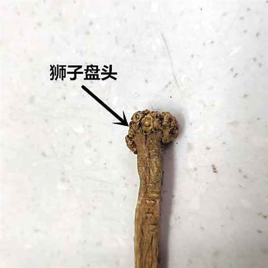 选党参,其中门道你知道多少