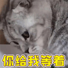 搞笑GIF