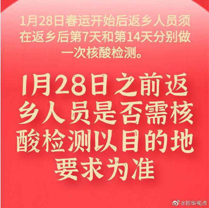 疫情防控风险点在哪儿？对春节返乡有何影响？——权威部门就春节疫情防控回应关切