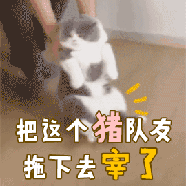 简单猫咪