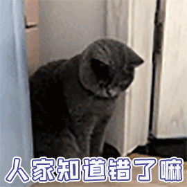 猫咪可爱