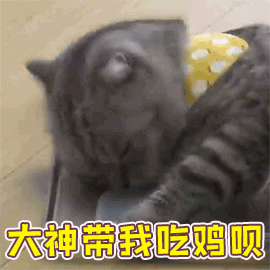 简单gif