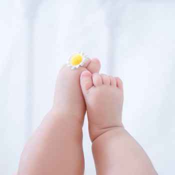 1 敲黑板!这些宝贝建议睡觉时穿袜子