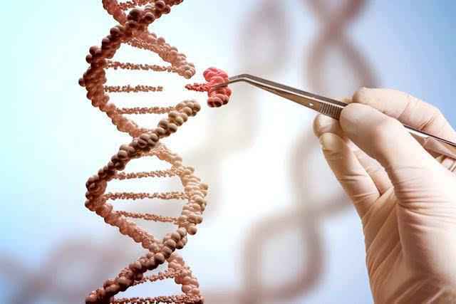 新基因工具可按时序编辑DNA序列有望加深人类对癌症的了解
