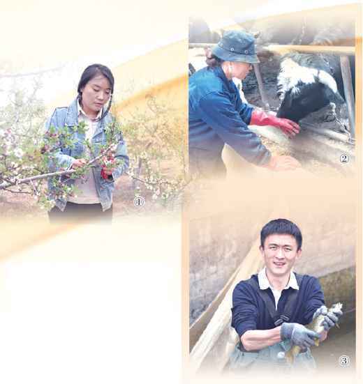 知识进乡村技术富乡亲(一线调查·乡村振兴关键在人)