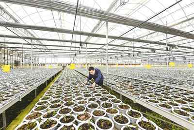 用中医药的规律发展中医药(解读“十四五”健康蓝图①)
