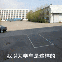 搞笑学车gif