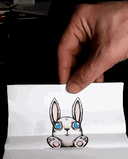 有趣gif