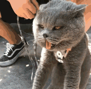 搞笑