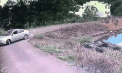 自由自在