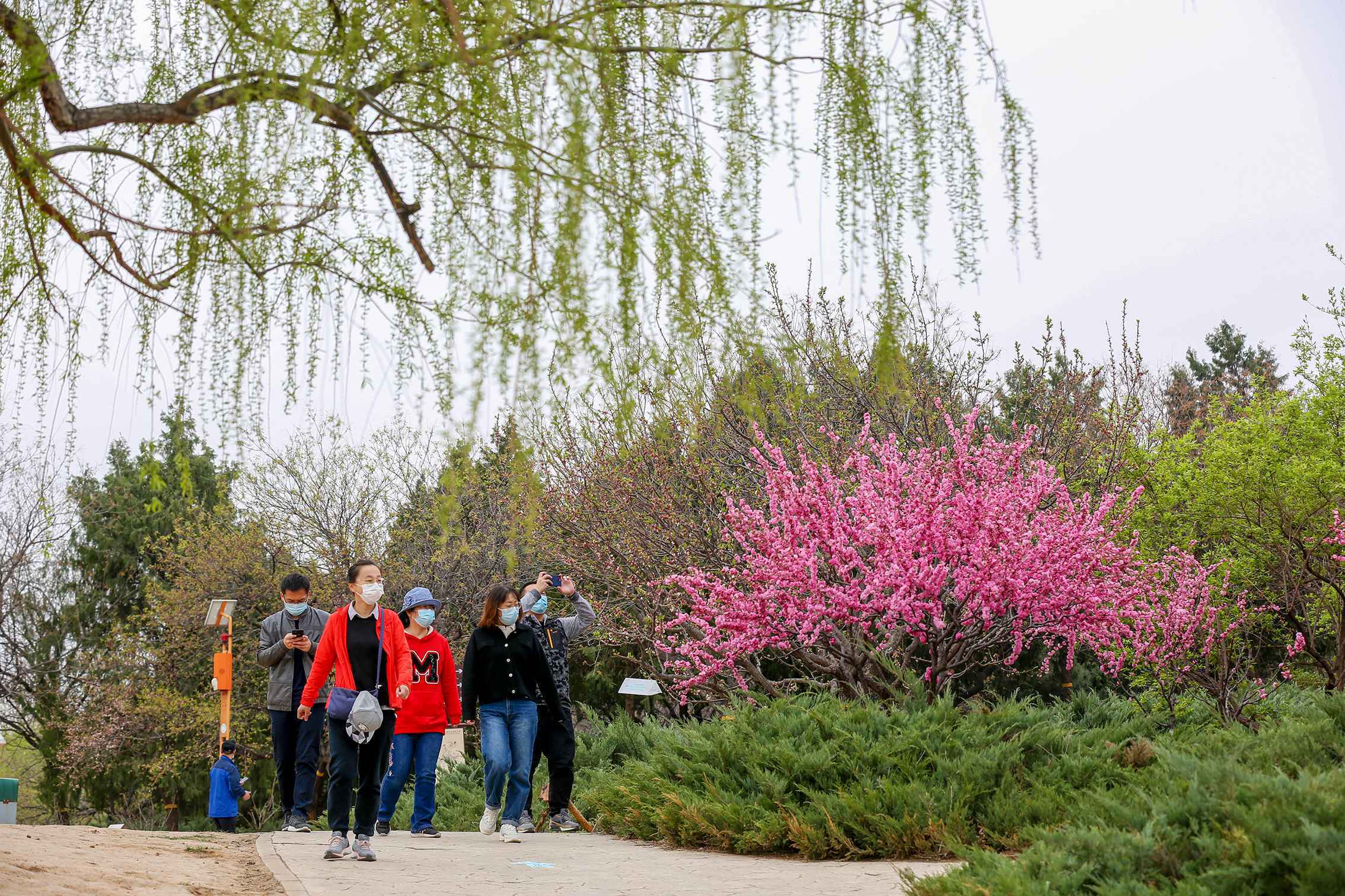 五一小长假北京公园风景区接待游客768万人次